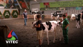 Feira Agrícola Açores defende o setor agrícola como motor de desenvolvimento económico