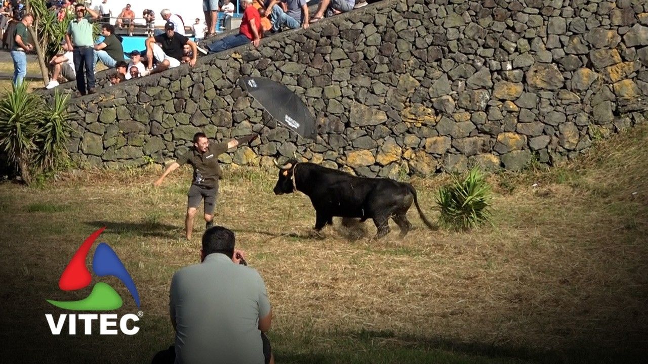 Tourada em Santa Rita a 2 de julho