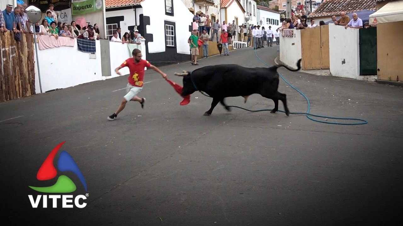 Tourada no Largo da Fontinha a 6 de julho