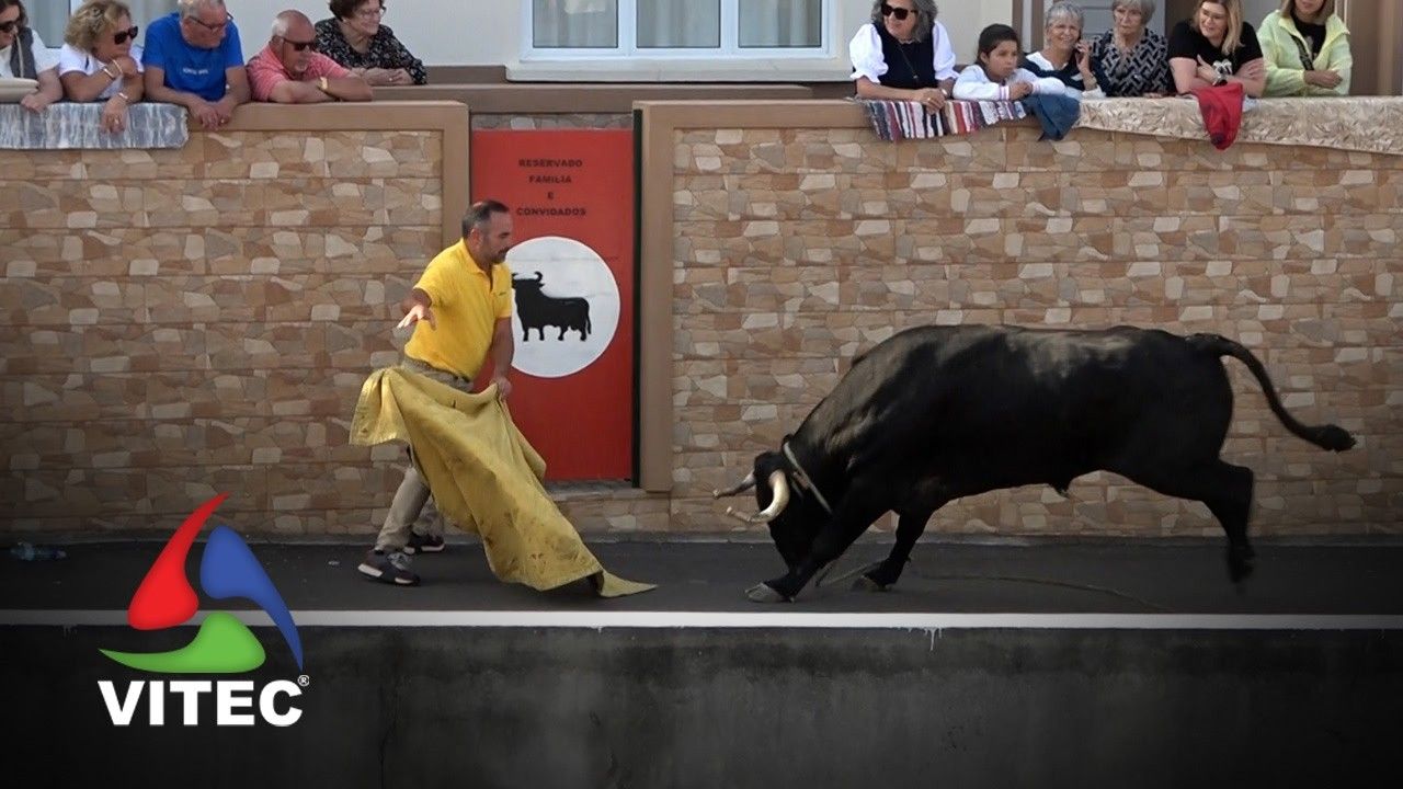Tourada a 9 de julho na Casa da Ribeira