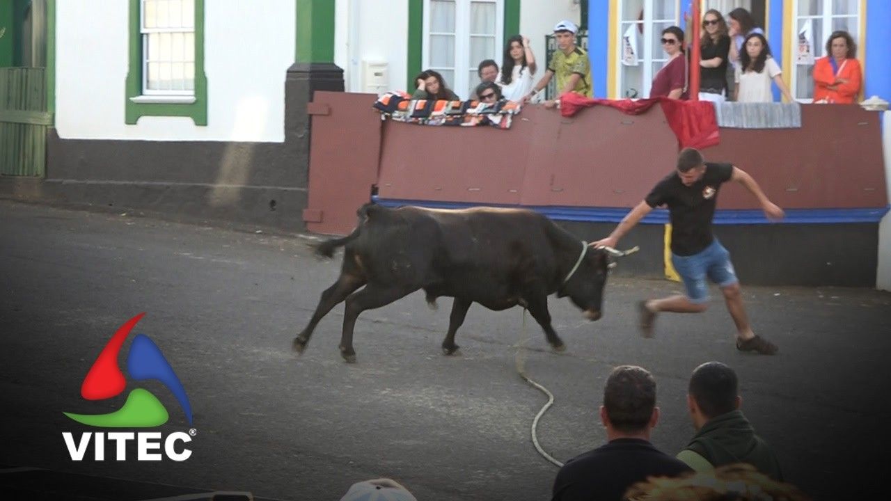 Tourada a 10 de julho na Casa da Ribeira