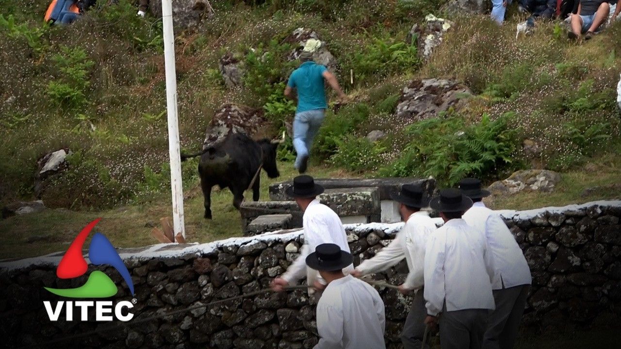 Tourada nas Cales, Altares, a 12 de julho