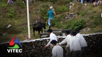 Tourada nas Cales, Altares, a 12 de julho