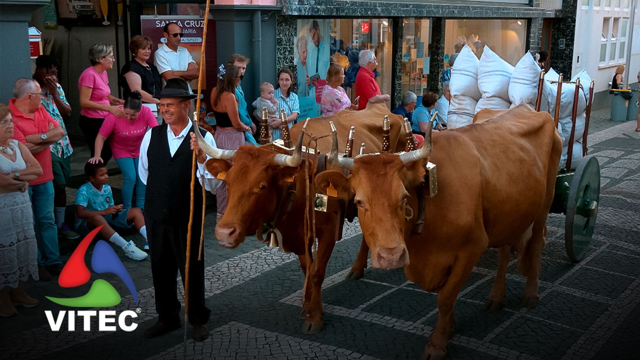 Cortejo Etnográfico - Festas da Praia 2026
