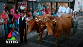 Cortejo Etnográfico - Festas da Praia 2026