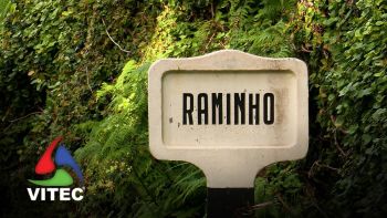 Freguesia do Raminho