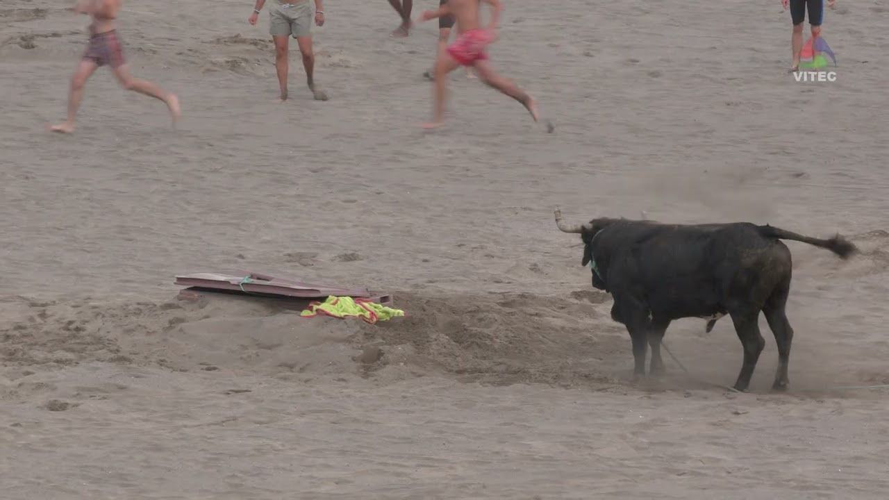 1ª parte da Tourada do Areal - Festas da Praia 2026
