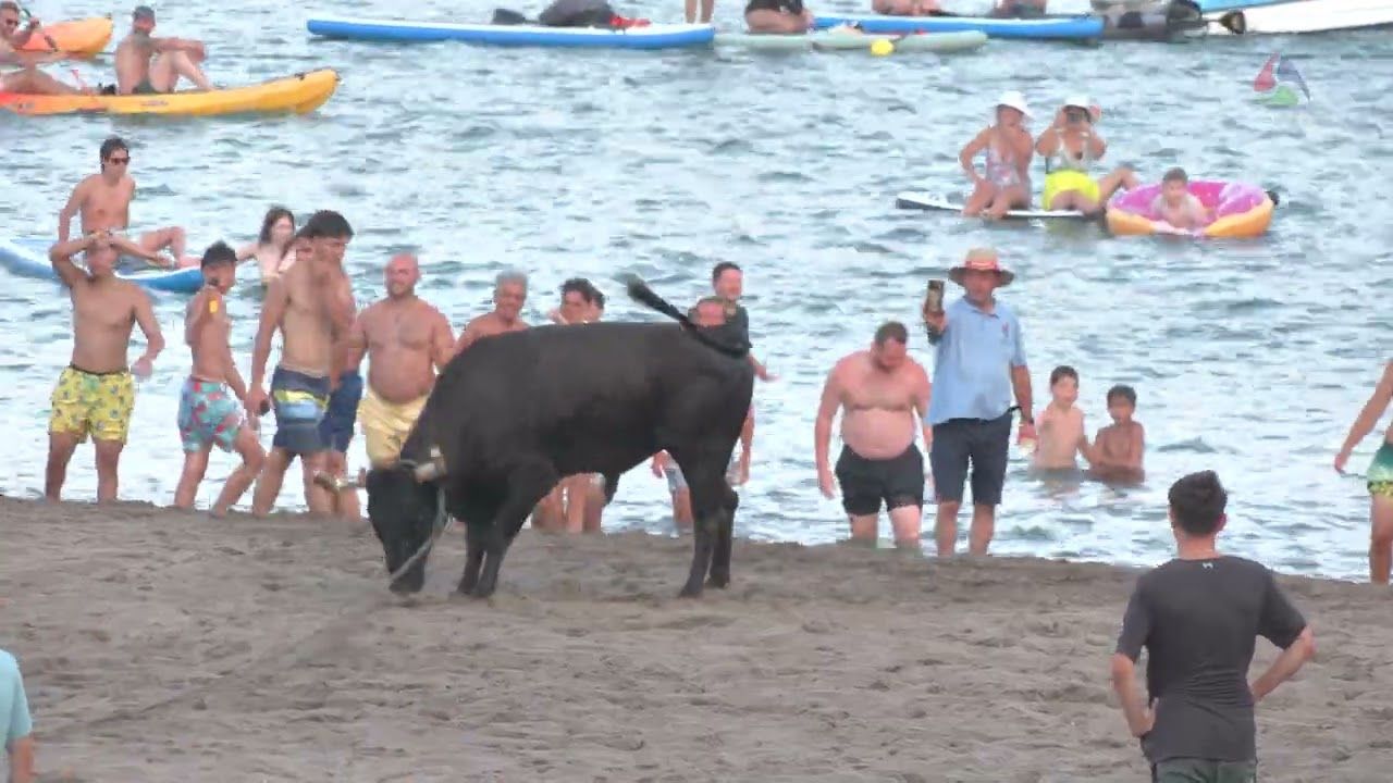 2ª parte da Tourada do Areal - Festas da Praia 2026