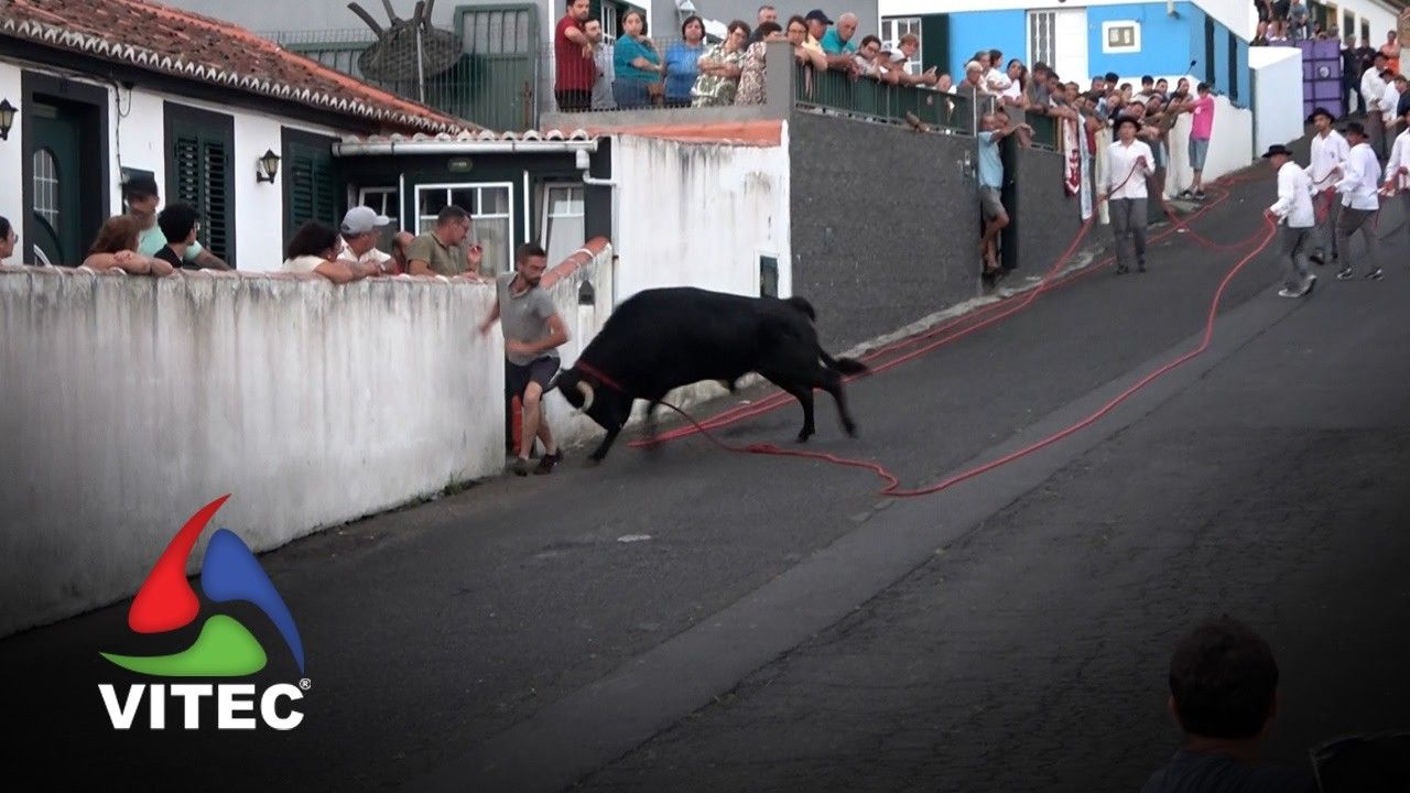 Tourada a 14 de agosto no Posto Santo