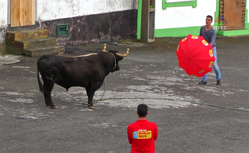 Tourada da Fonte da Ribeirinha 2015