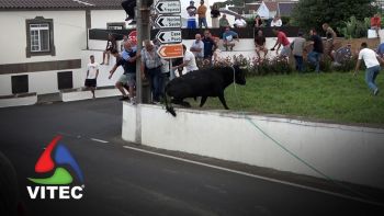 Tourada a 25 de Agosto em São Brás