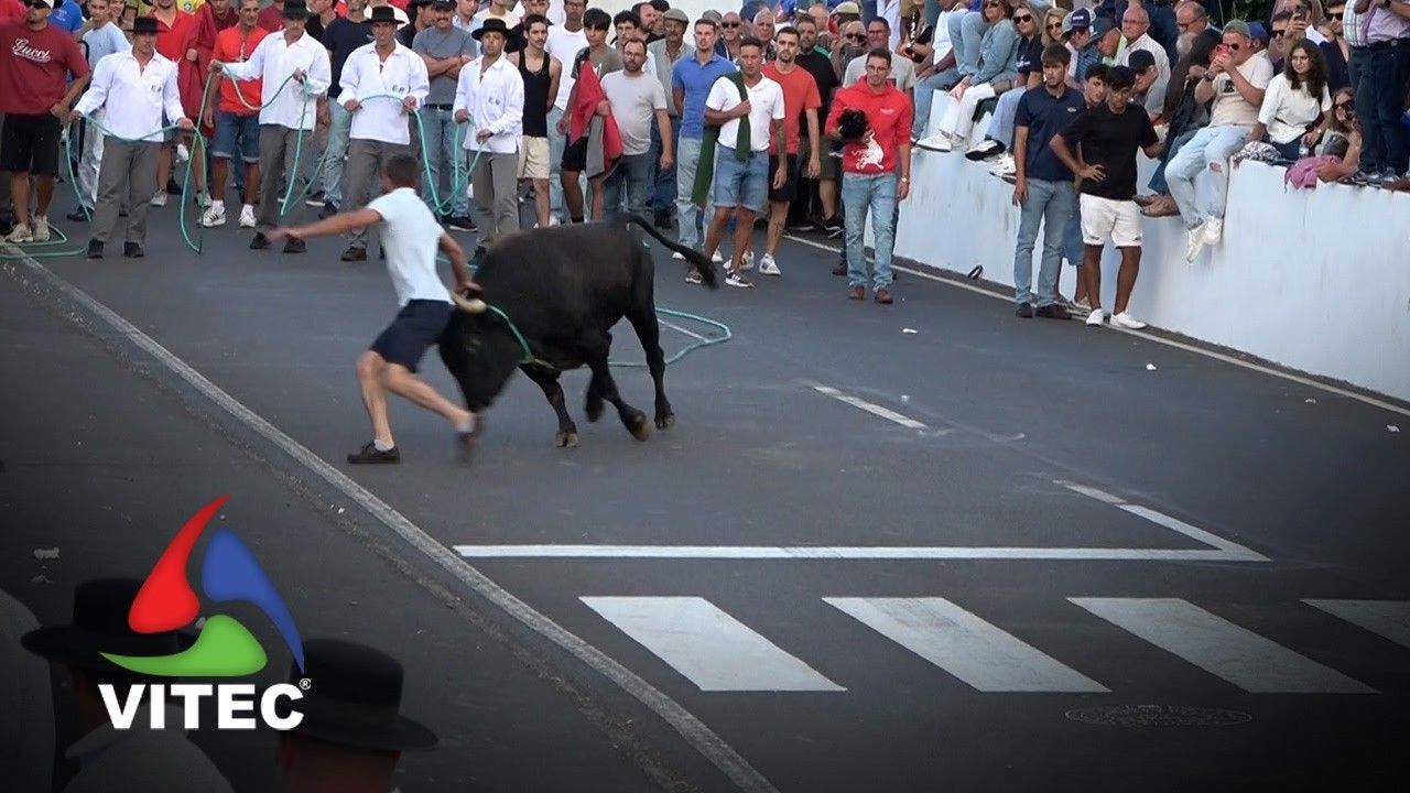 Tourada a 26 de Agosto em São Brás - Concurso de Ganadarias