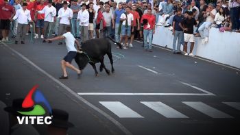 Tourada a 26 de Agosto em São Brás - Concurso de Ganadarias