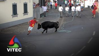 Tourada a 3 de Setembro no Raminho