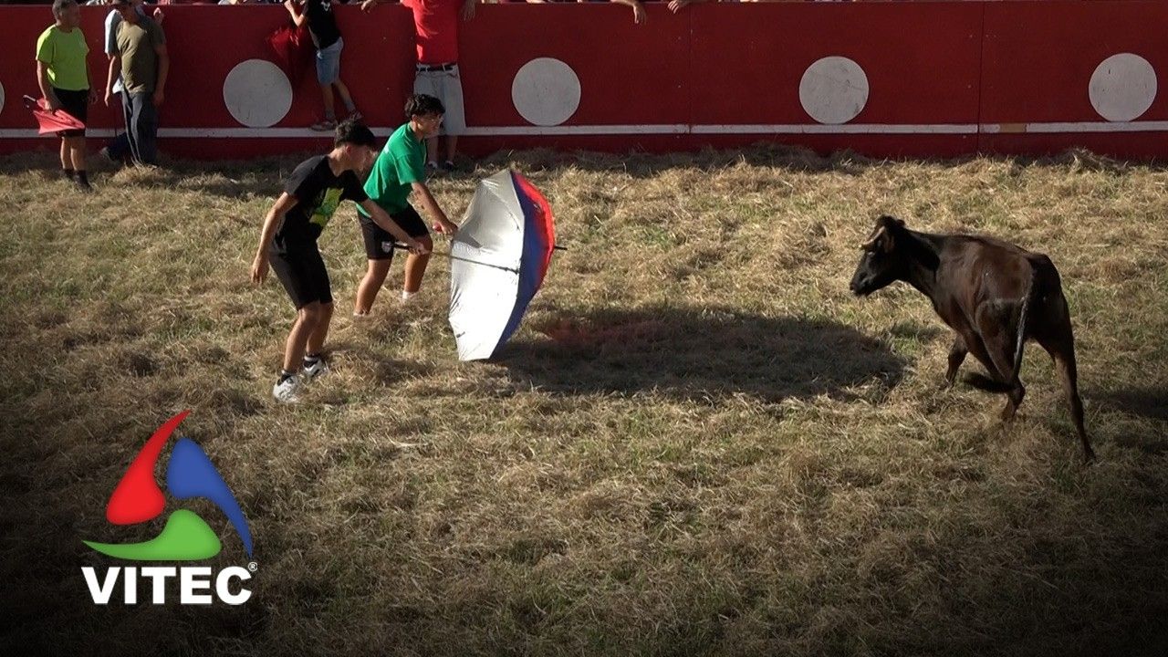 Vacada a 2 de Setembro no Raminho
