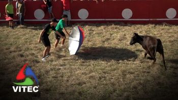 Vacada a 2 de Setembro no Raminho