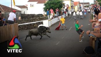 Tourada a 1 de Setembro no Raminho