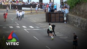 Tourada a 9 de Setembro em Santa Luzia