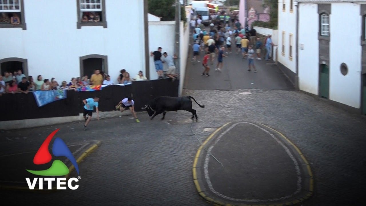 Tourada a 10 de Setembro em Santa Luzia