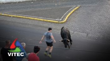 Tourada a 11 de Setembro em Santa Luzia