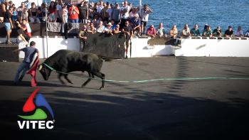Tourada a 22 de Setembro no Porto Martins