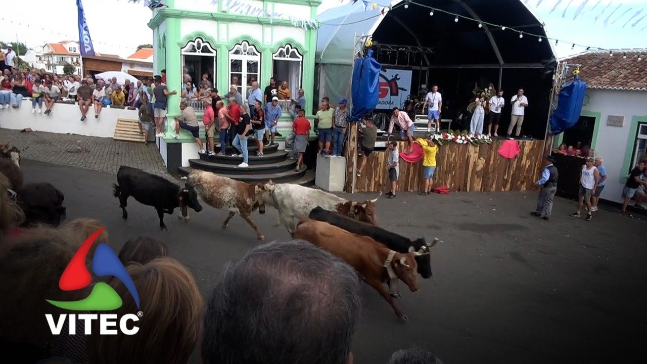 Tourada a 24 de Setembro no Porto Martins