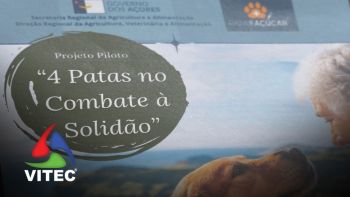 Projeto-piloto permite aos idosos adotar cães abandonados