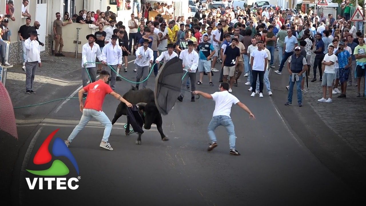 Tourada a 5 de Outubro na Vila das Lajes