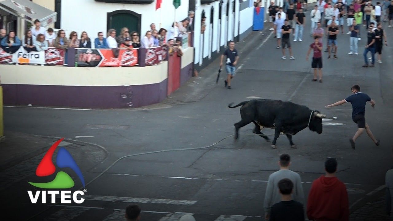 Tourada a 10 de Outubro na Vila das Lajes
