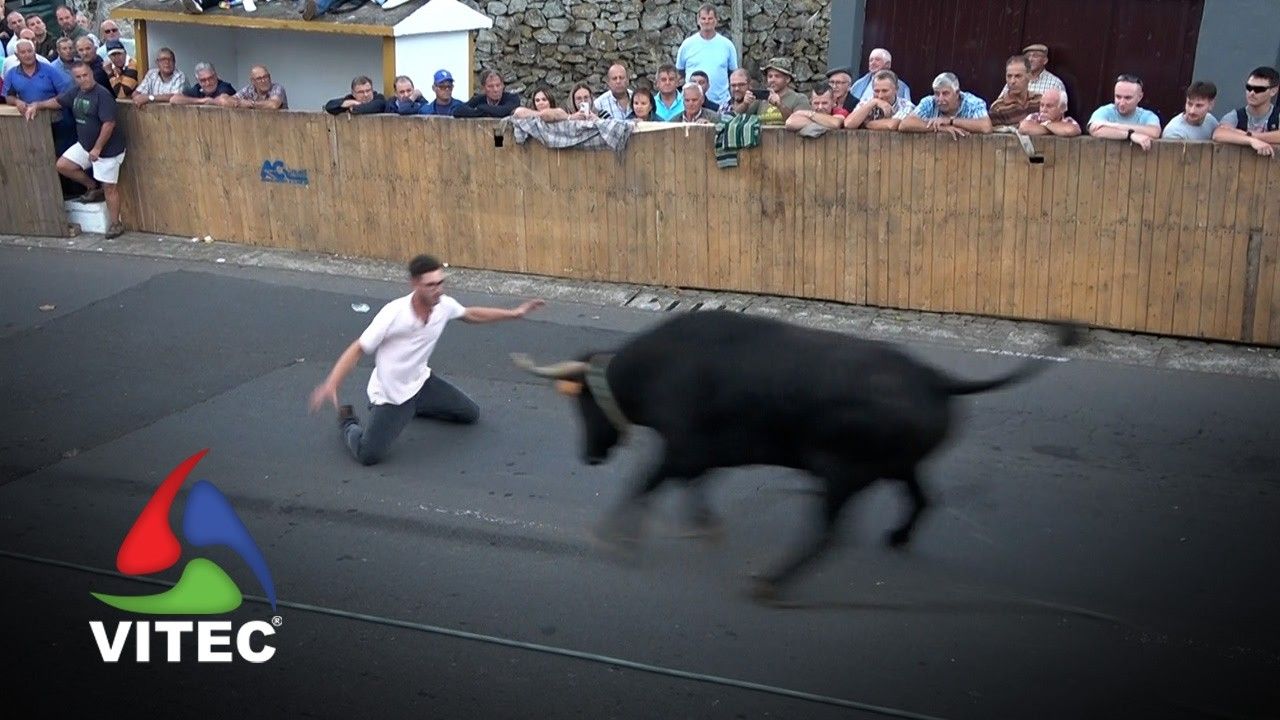 Tourada a 13 de Outubro em Santo Amaro