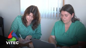 Campanha de vacinação e identificação para cães e gatos em curso em Angra do Heroísmo