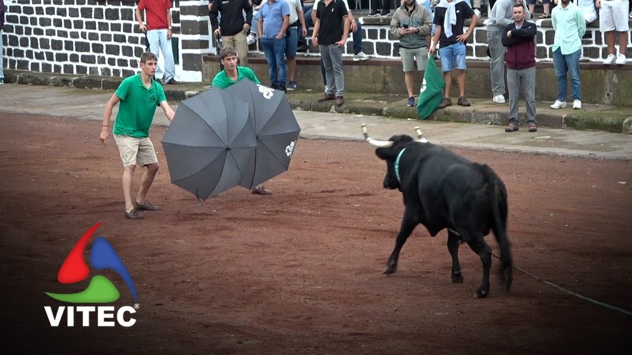 Tourada a 14 de Outubro no Largo da Fonte