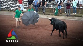 Tourada a 14 de Outubro no Largo da Fonte