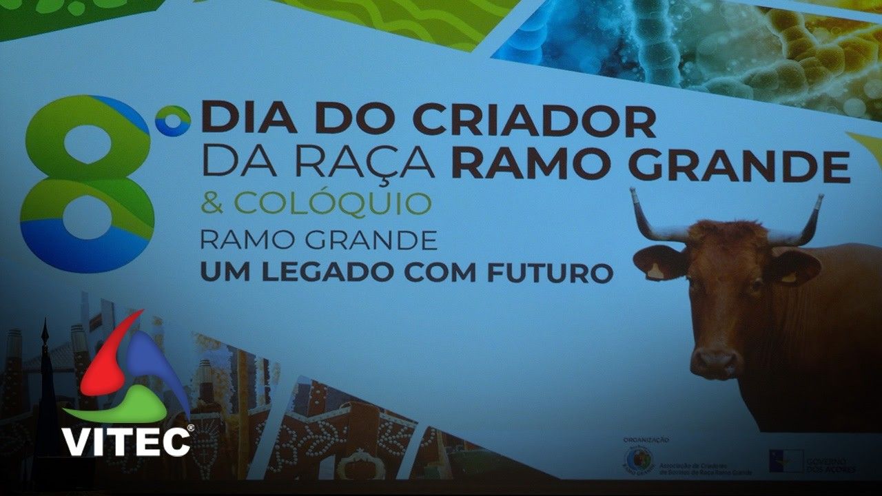 Angra do Heroísmo acolheu o 8º Dia do Criador da Raça Ramo Grande